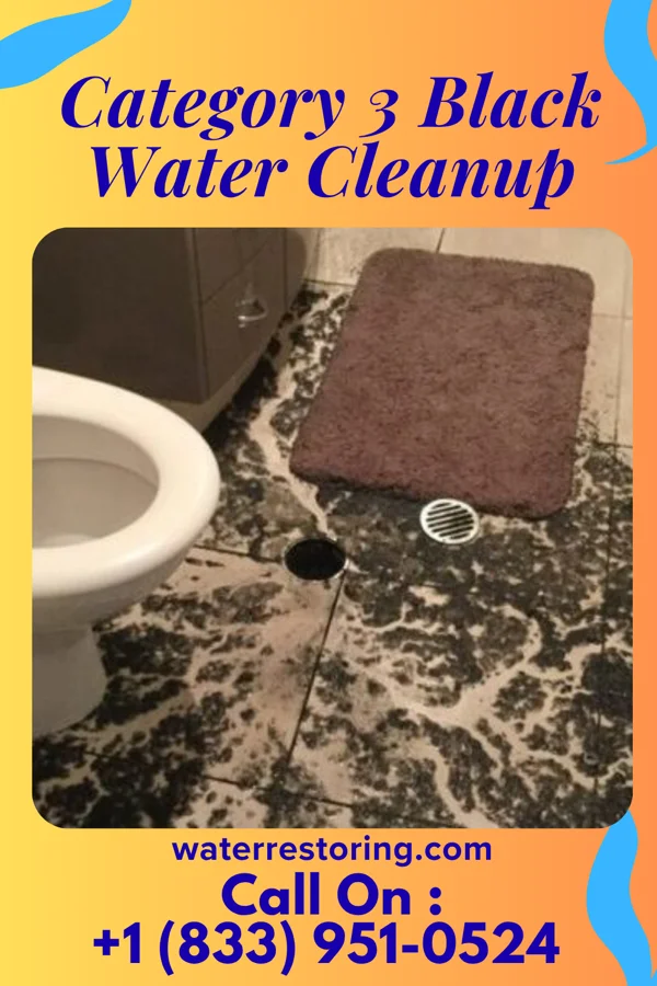Category 3 Black Water Cleanup in Lanark, IL