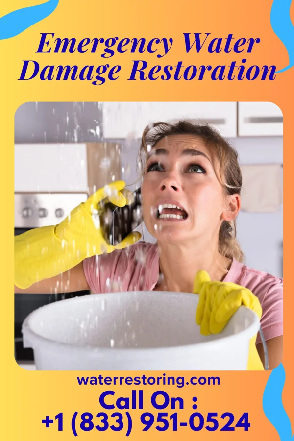 Emergency Water Damage Restoration in Lanark, IL