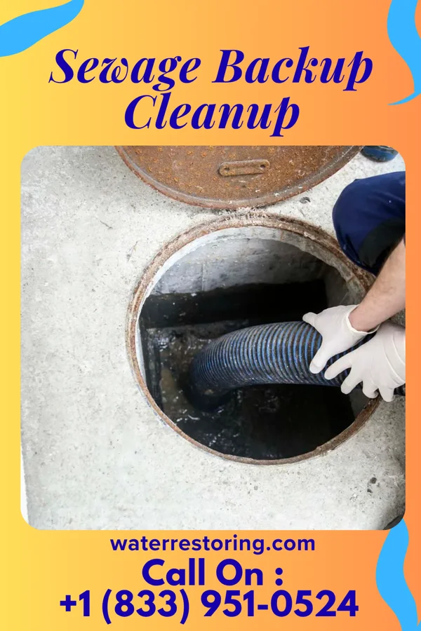 Sewage Backup Cleanup in Lanark, IL