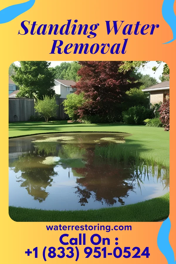 Standing Water Removal in Lanark, IL